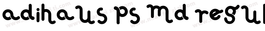 AdiHaus PS Md Regula字体转换